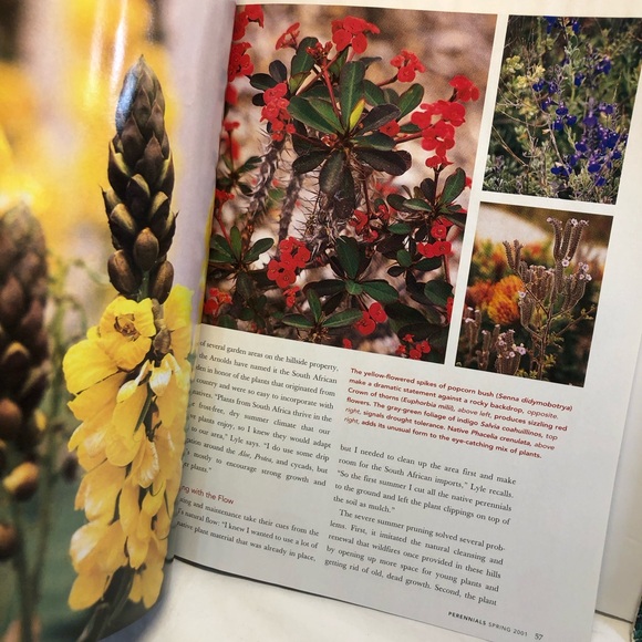 Gardening Magazines and Perennial Gardening Coles Notes - Picture 6 of 16